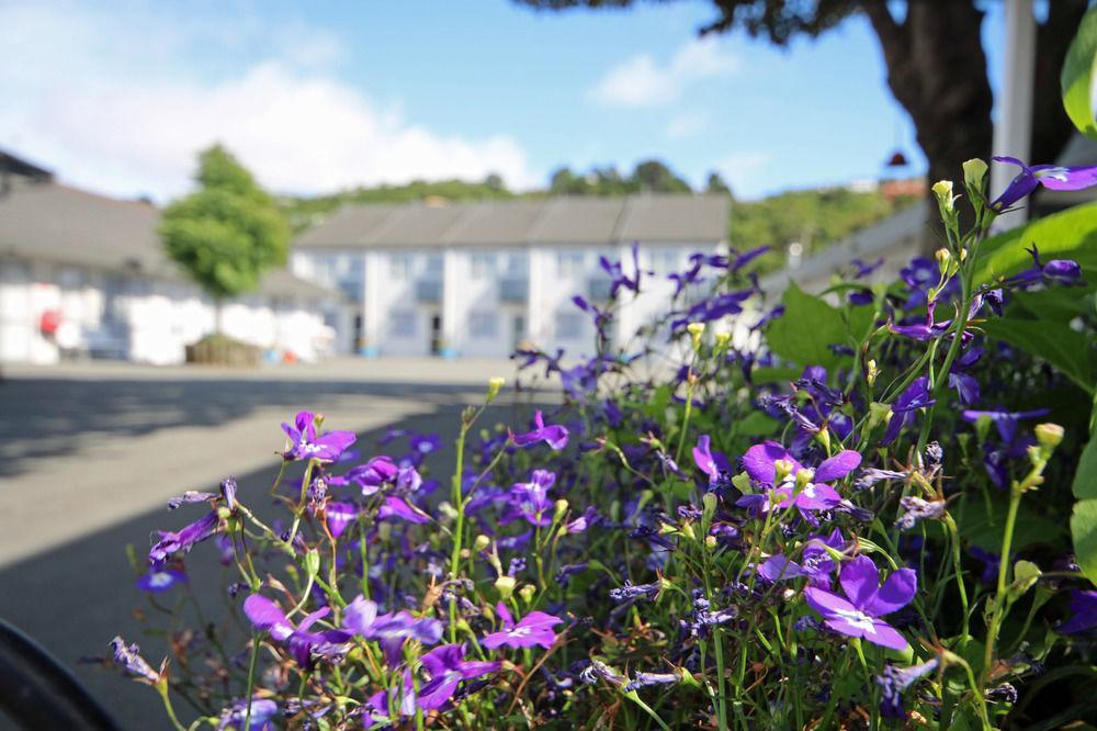 Midway Pacifica Lodge Lower Hutt Eksteriør bilde